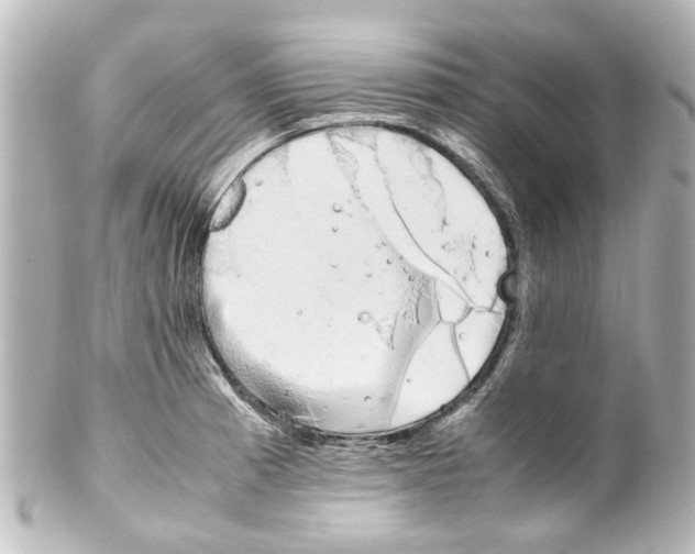 X0000100221185200806271720