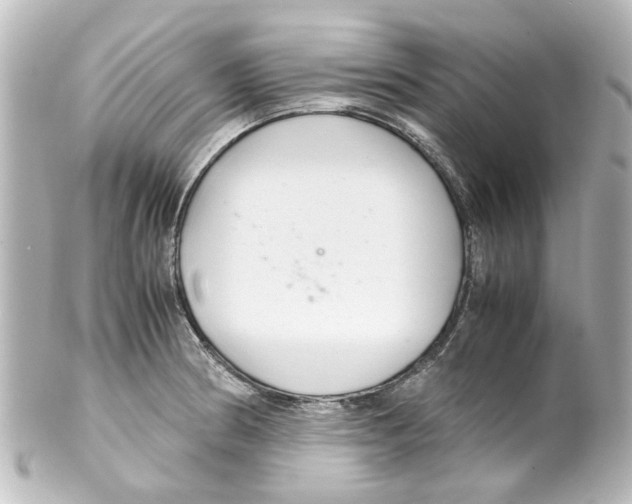 X0000100221186200806271720