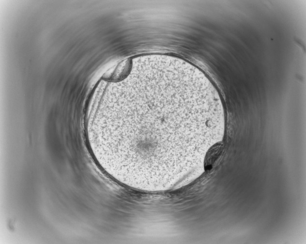 X0000100221187200806271720