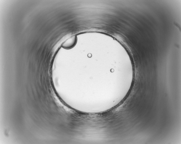 X0000100221189200806271720