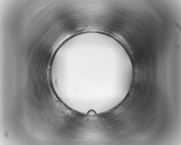 X0000100221190200806271720