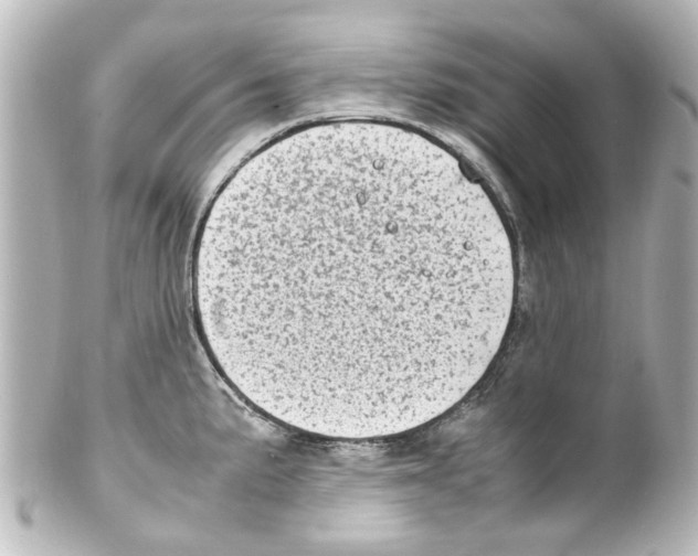 X0000100221191200806271720