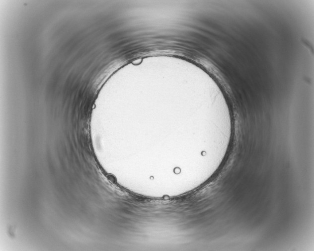 X0000100221193200806271720