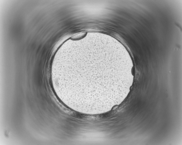 X0000100221195200806271720