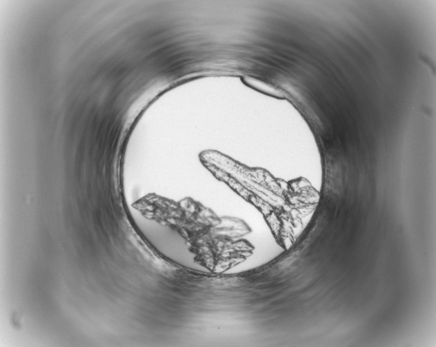 X0000100221196200806271720