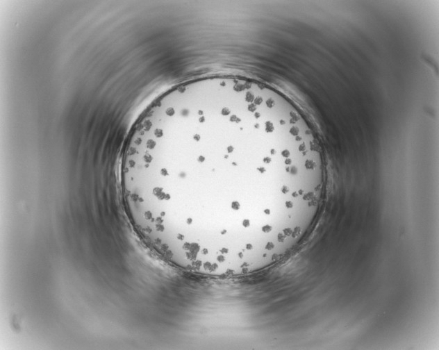 X0000100221198200806271720