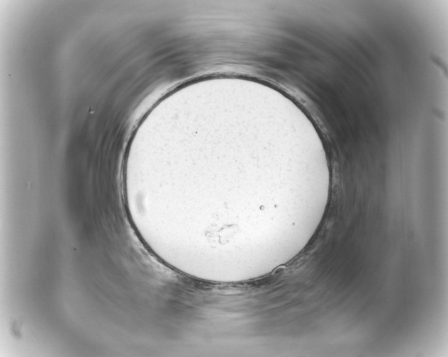 X0000100221199200806271720