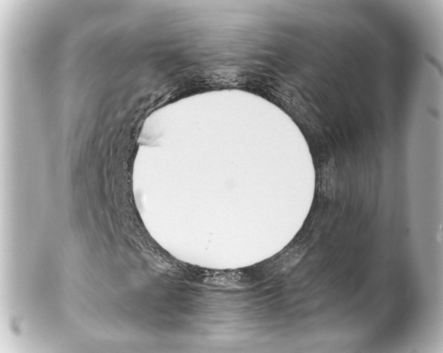 X0000100221201200806271719