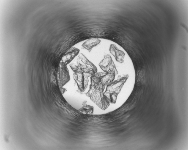 X0000100221202200806271719