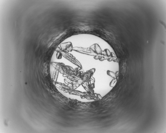 X0000100221205200806271719