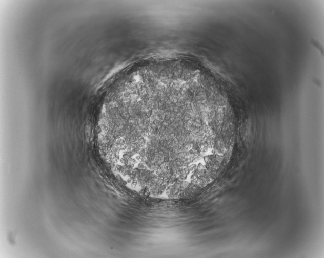 X0000100221206200806271719