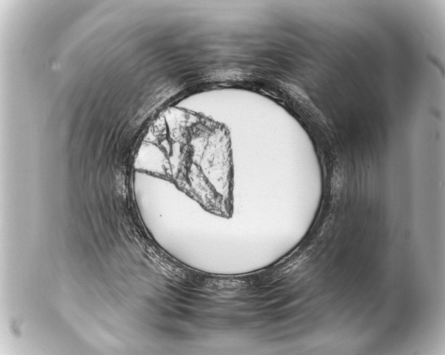 X0000100221209200806271719