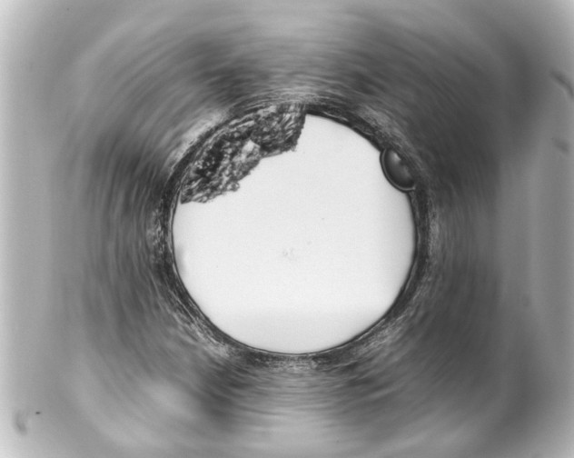 X0000100221210200806271719