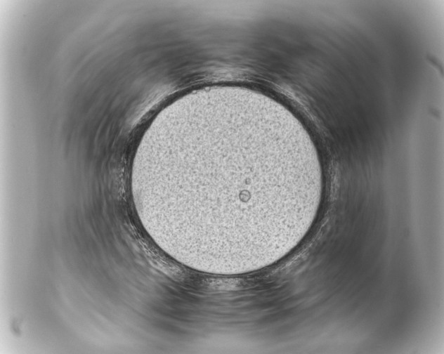 X0000100221211200806271719