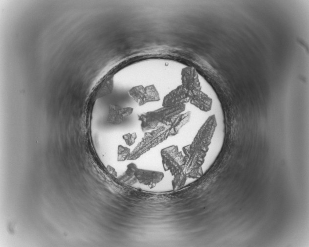 X0000100221216200806271719