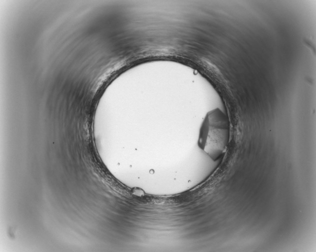 X0000100221218200806271719