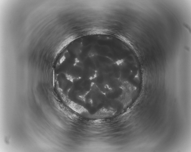 X0000100221219200806271719