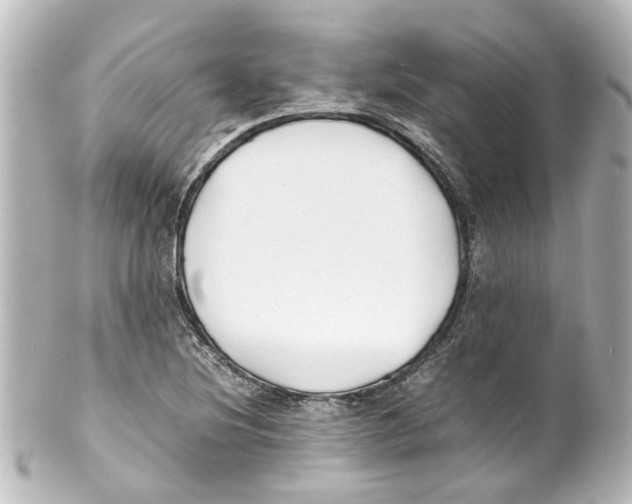 X0000100221220200806271719