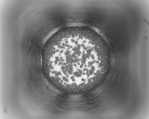 X0000100221221200806271719