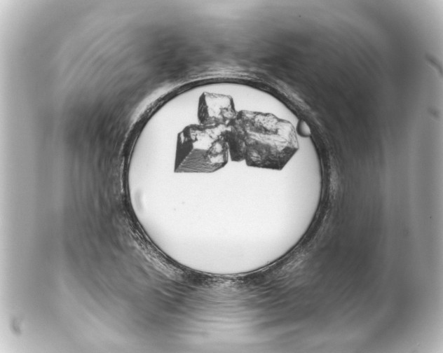 X0000100221222200806271719