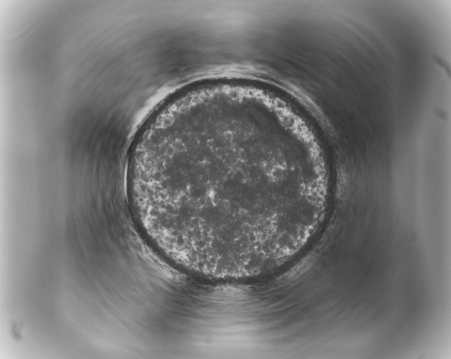 X0000100221224200806271719