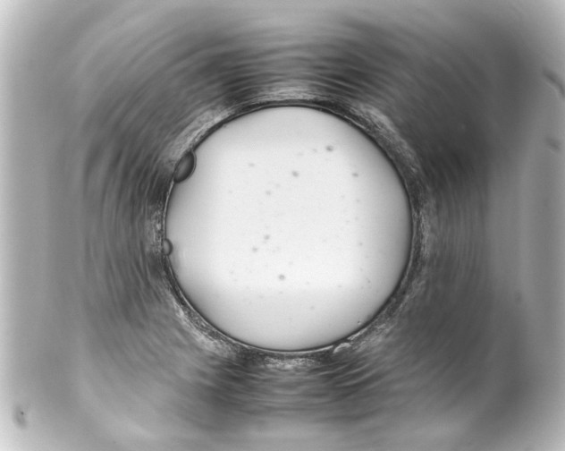 X0000100221225200806271719