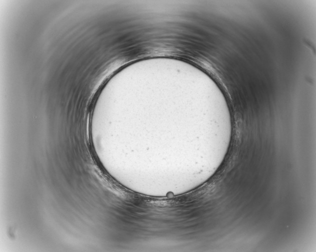 X0000100221227200806271719