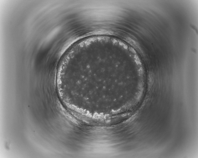 X0000100221228200806271719