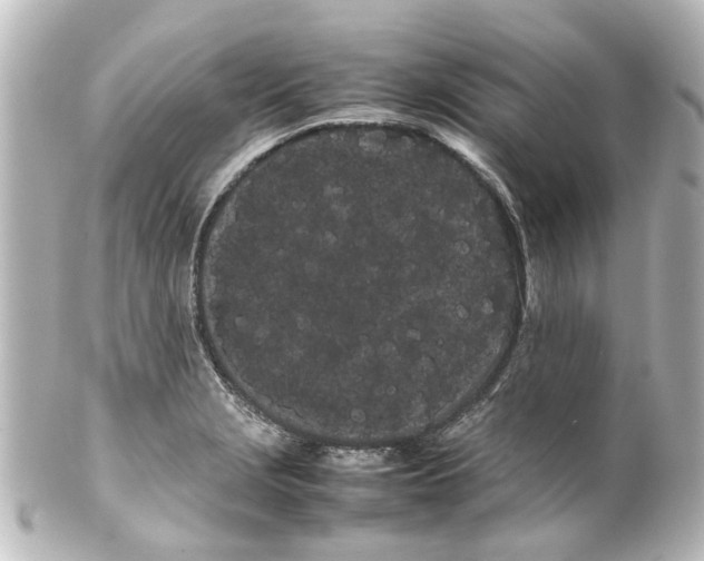 X0000100221229200806271719