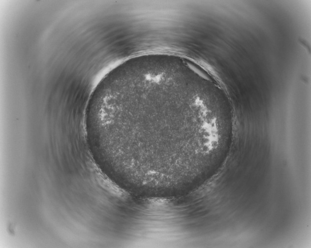 X0000100221230200806271719