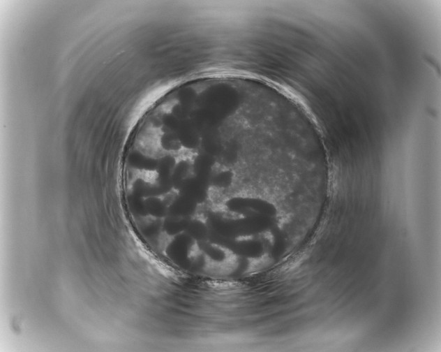 X0000100221231200806271719