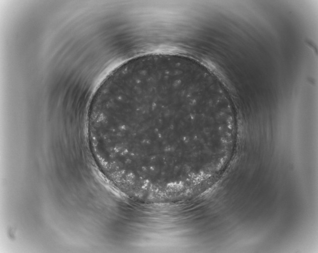 X0000100221232200806271719