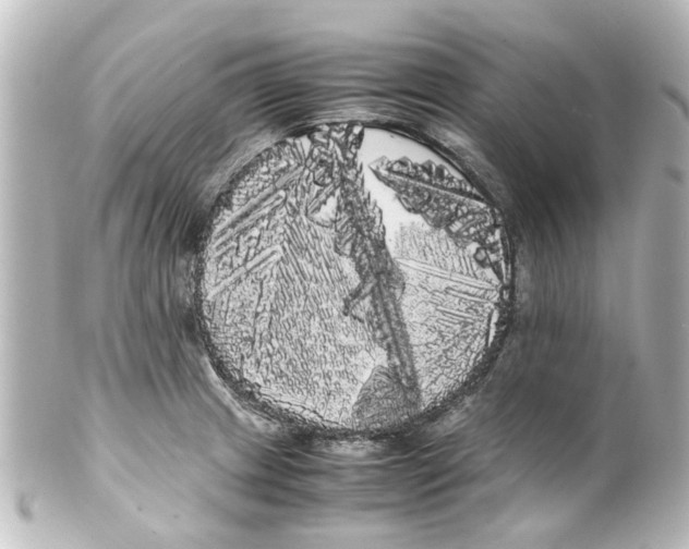 X0000100221233200806271719