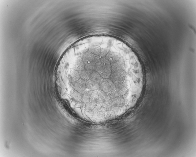 X0000100221234200806271719