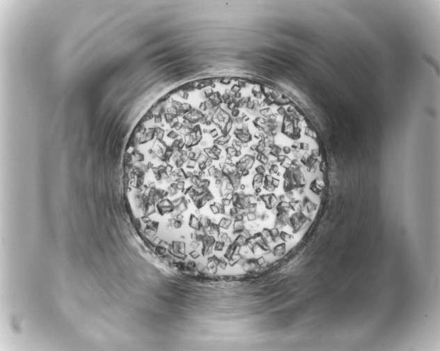 X0000100221236200806271719