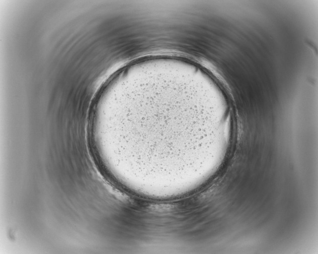 X0000100221237200806271719