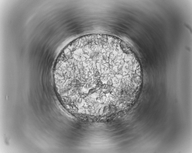 X0000100221238200806271719