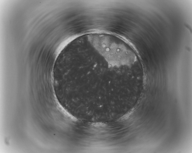 X0000100221239200806271720