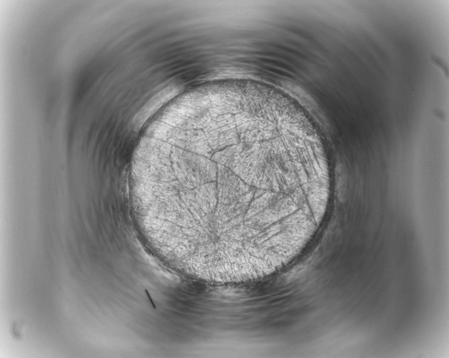 X0000100221241200806271720