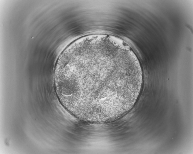 X0000100221244200806271720