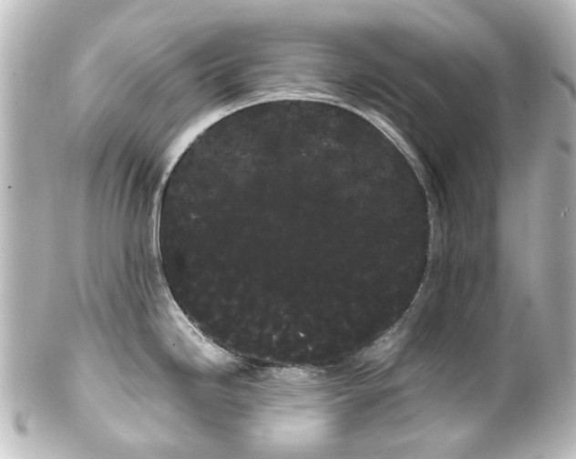 X0000100221246200806271720