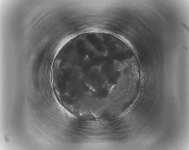 X0000100221247200806271720