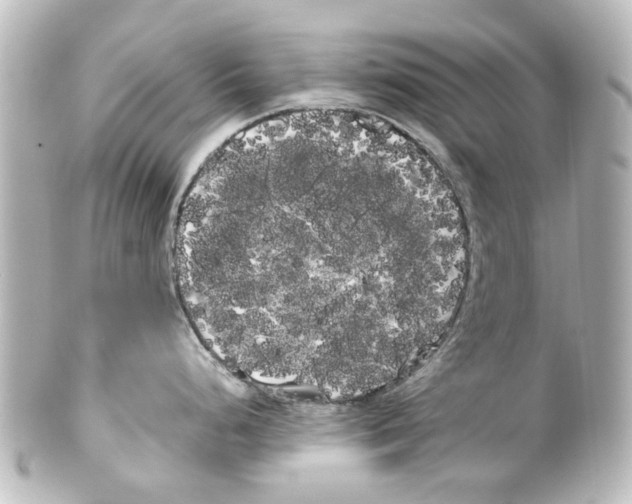 X0000100221248200806271720