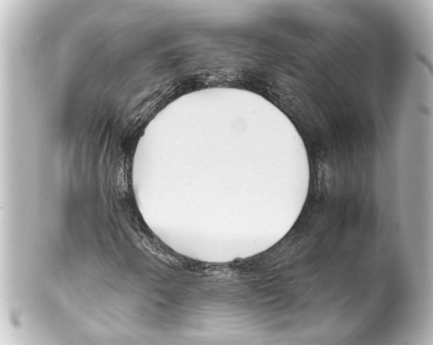 X0000100221250200806271719