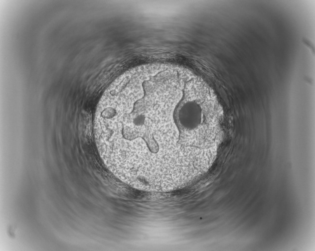 X0000100221251200806271719