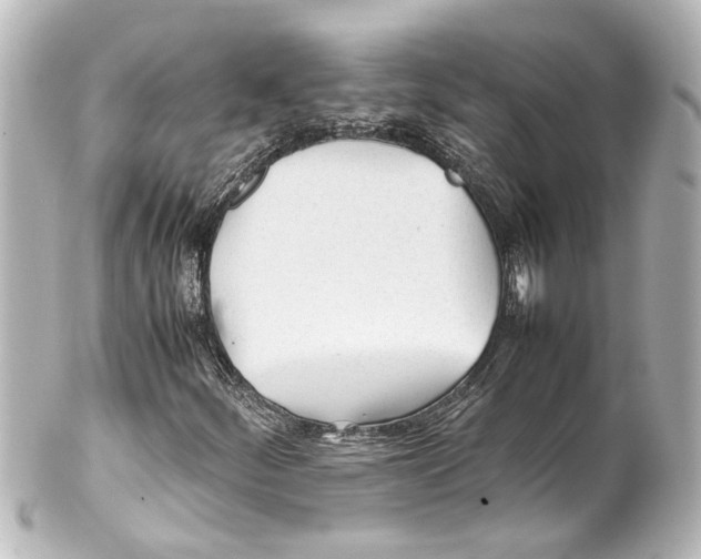 X0000100221252200806271719