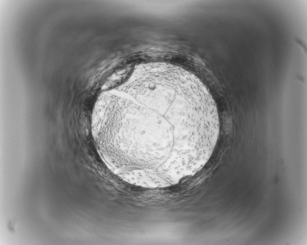 X0000100221253200806271719