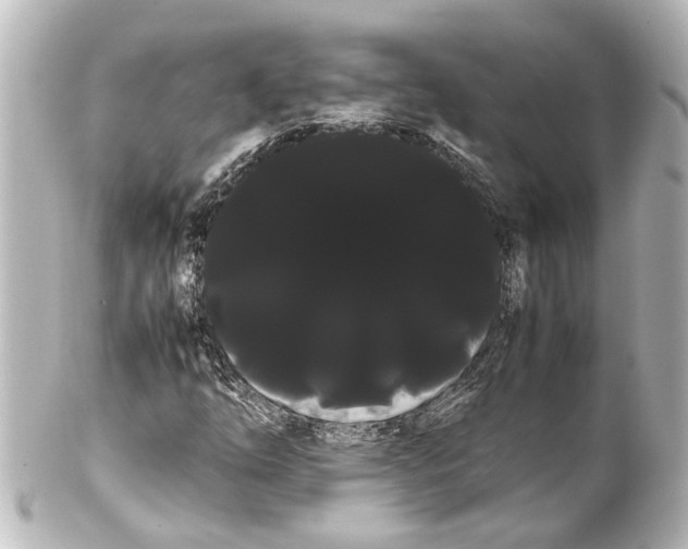 X0000100221254200806271719