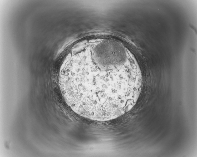 X0000100221255200806271719