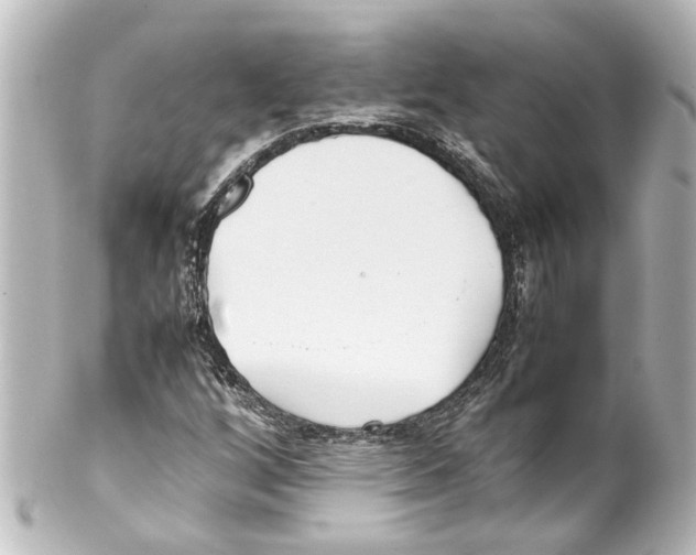 X0000100221256200806271719